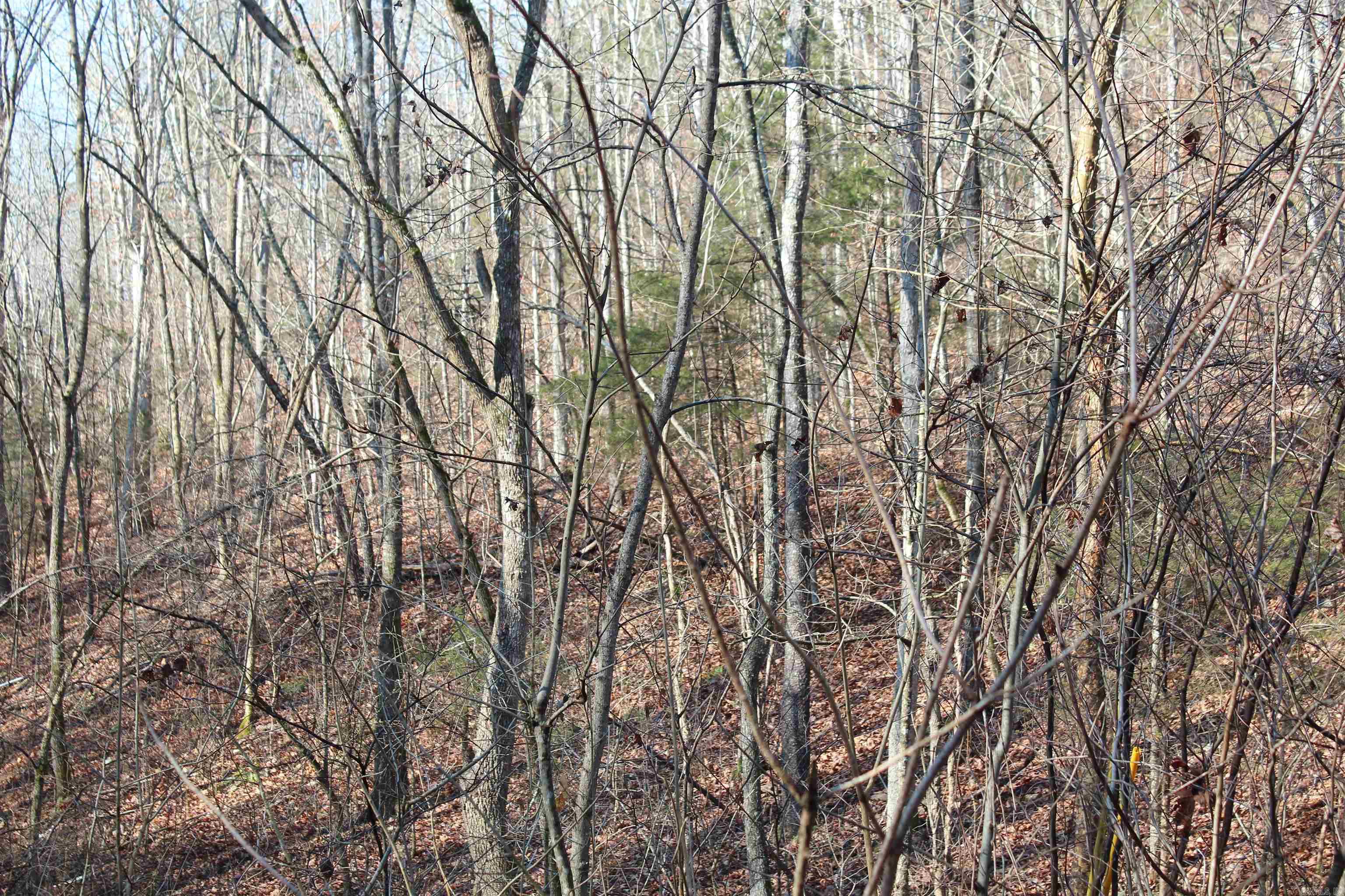 Not in Subdivision - Land