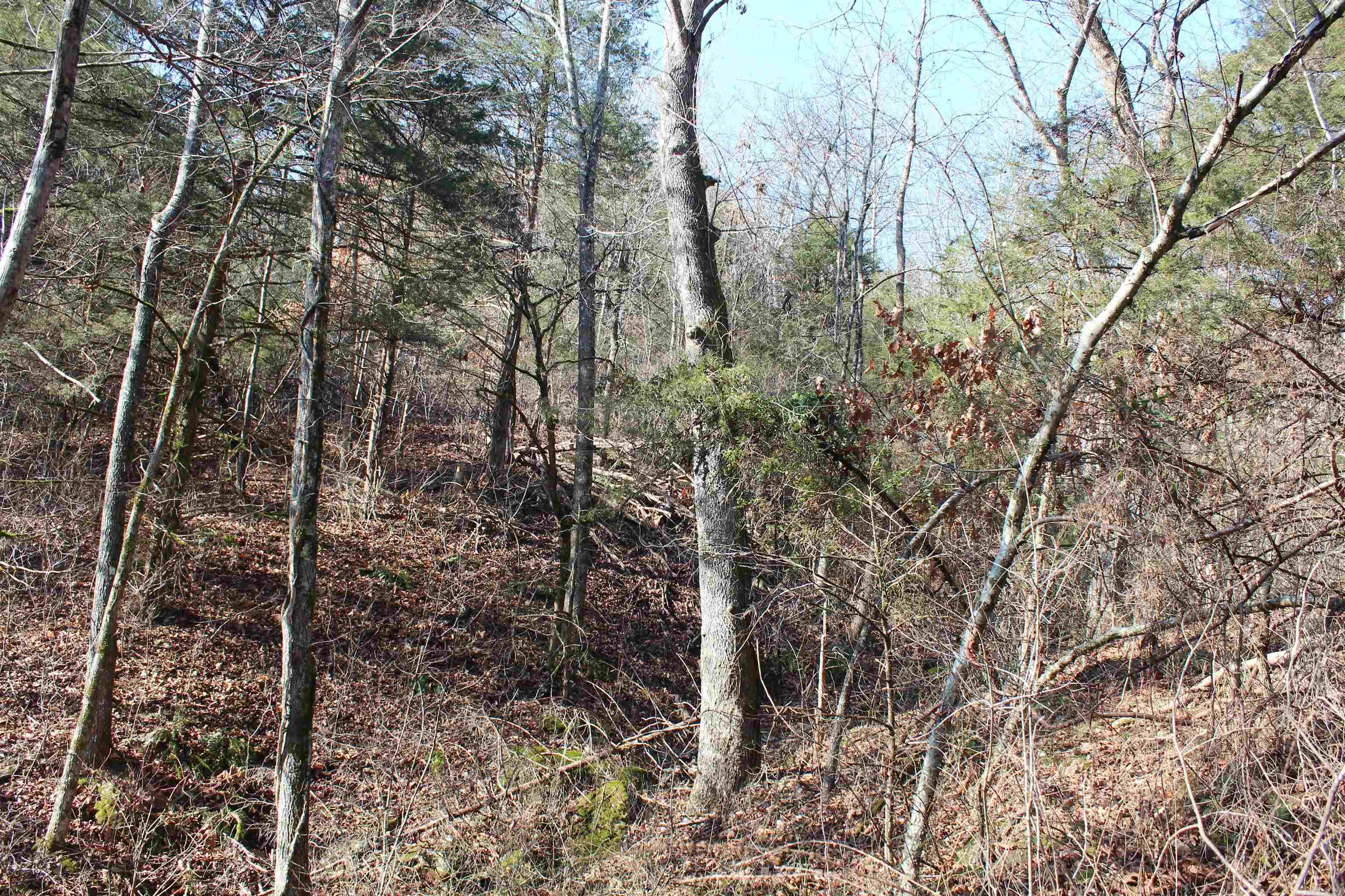 Not in Subdivision - Land