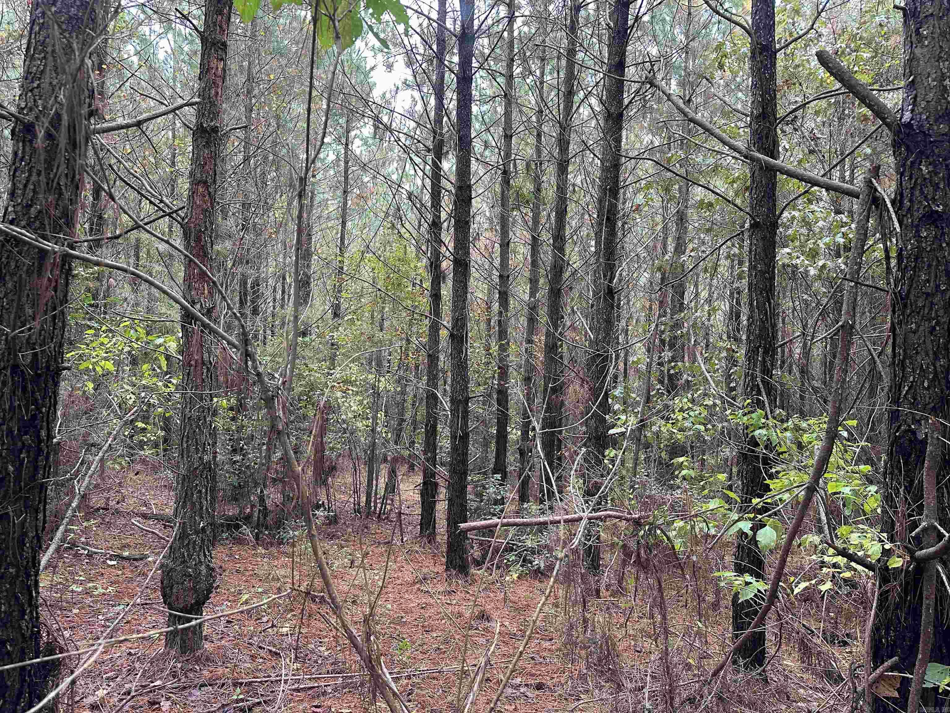 READER, CITY OF - Land