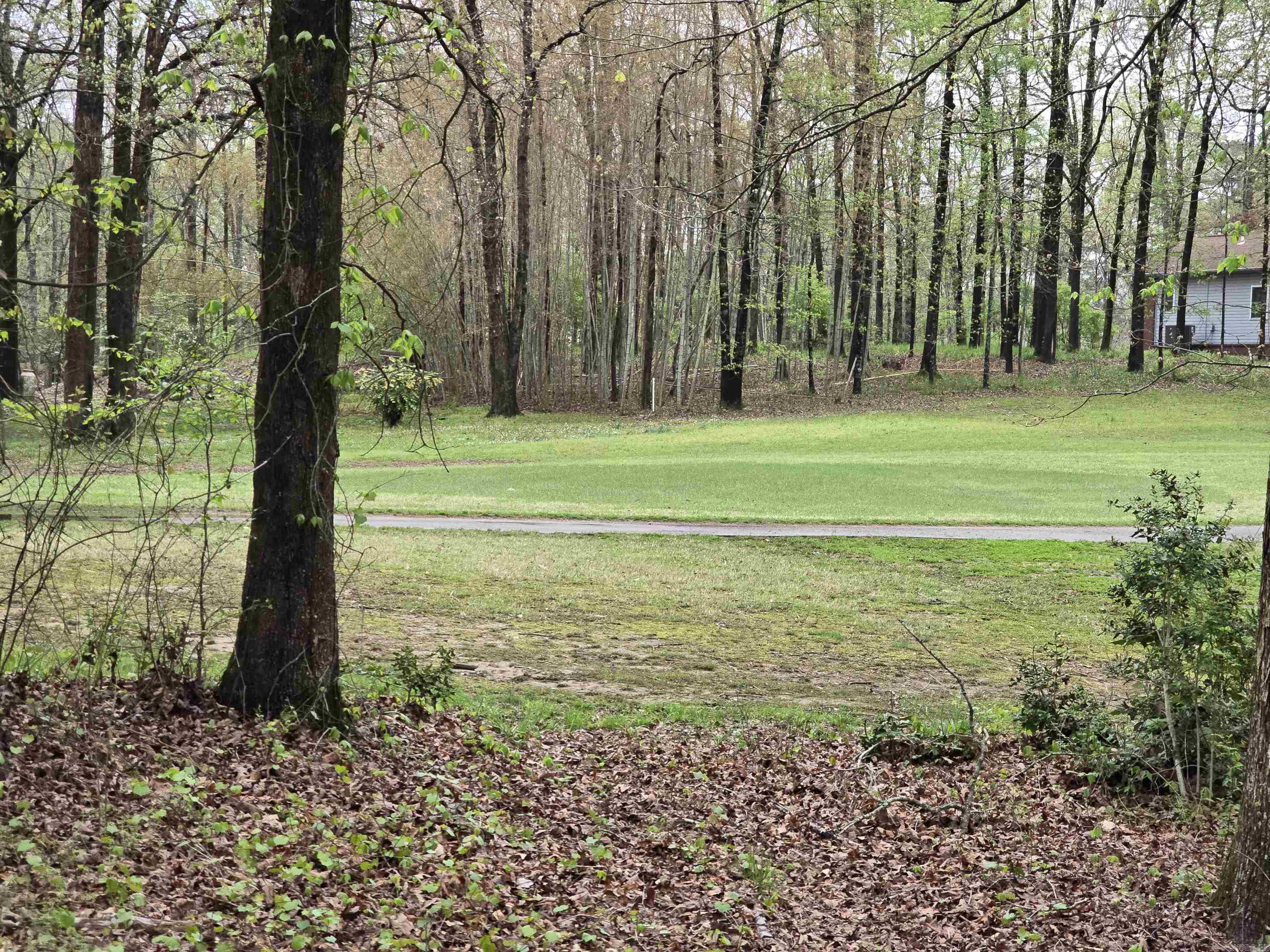 3 very affordable lots with 1 POA dues overlooking 9th fairway with beautiful views! Come join the fun live in Diamondhead, (a small town community) with lots to offer. Lake access, golfing, tennis, pickleball, swimming, community library, community activities. Close to Hot Springs & Lake Catherine State Park with hiking water falls and park programs. Ask listing agent for builder information.