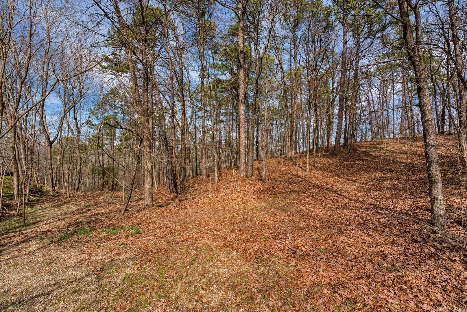 Metes & Bounds - Residential Income