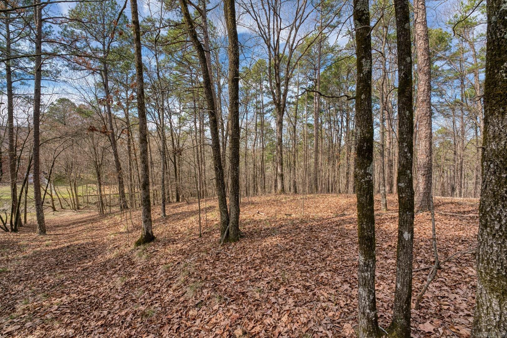 Metes & Bounds - Residential Income