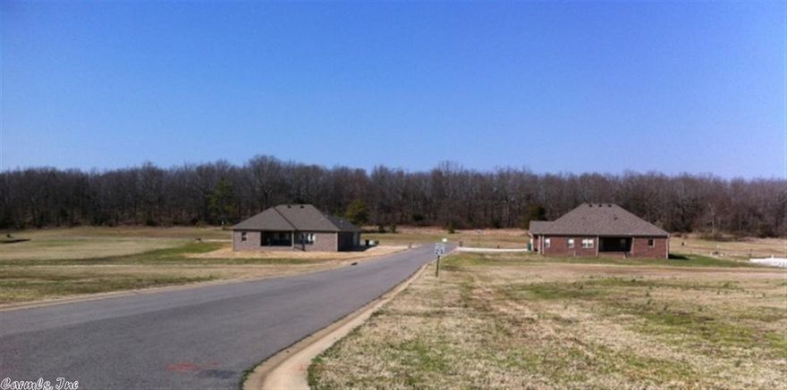 The is the perfect spot for your new custom built home. Lots range in size from over 1/2 acre to just under 1 acre. Homes must be at least 1,900 sq. ft. located just north of the Little Rock Air Force Base. Agents see remarks.