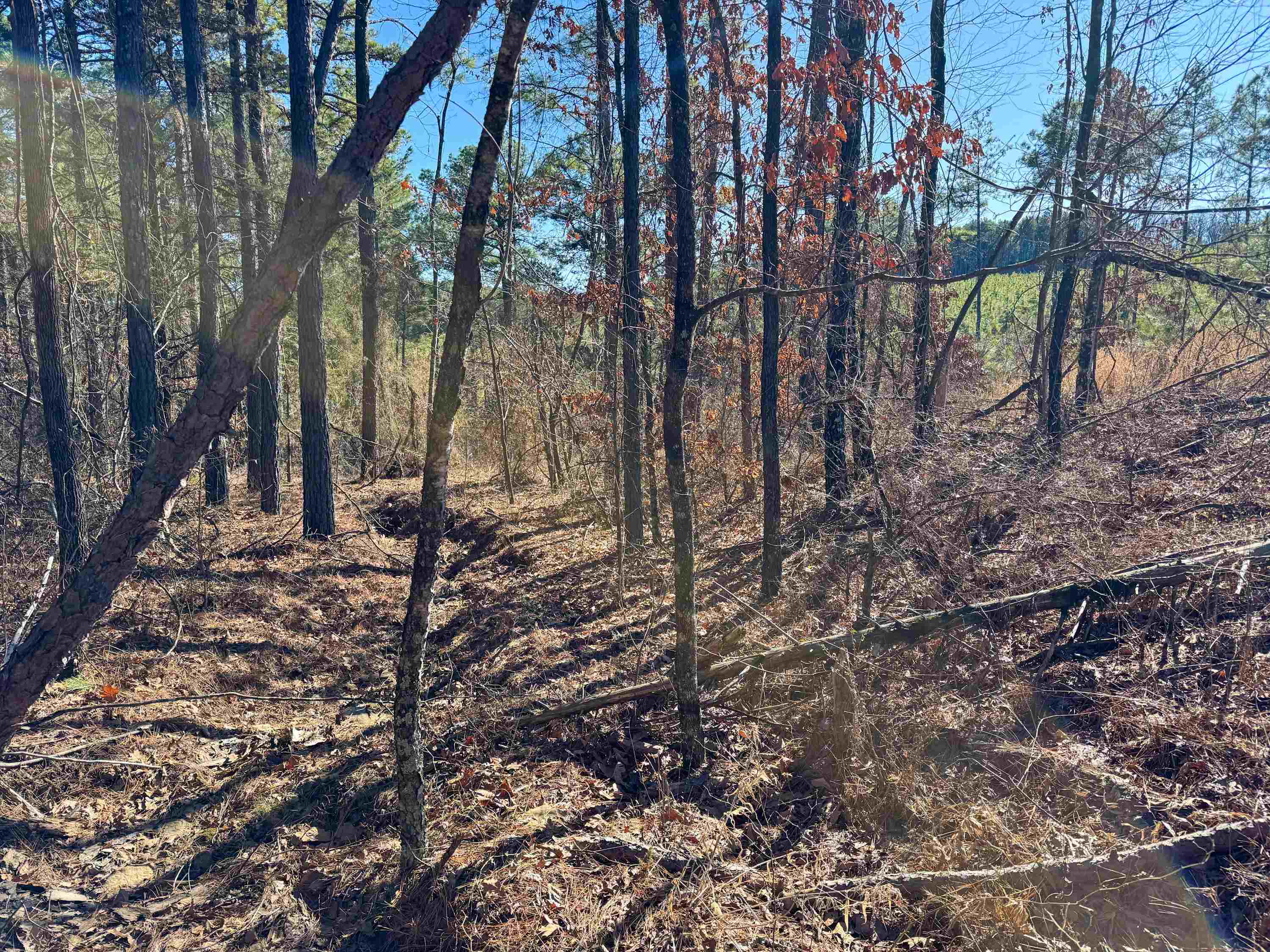 Metes & Bounds - Land