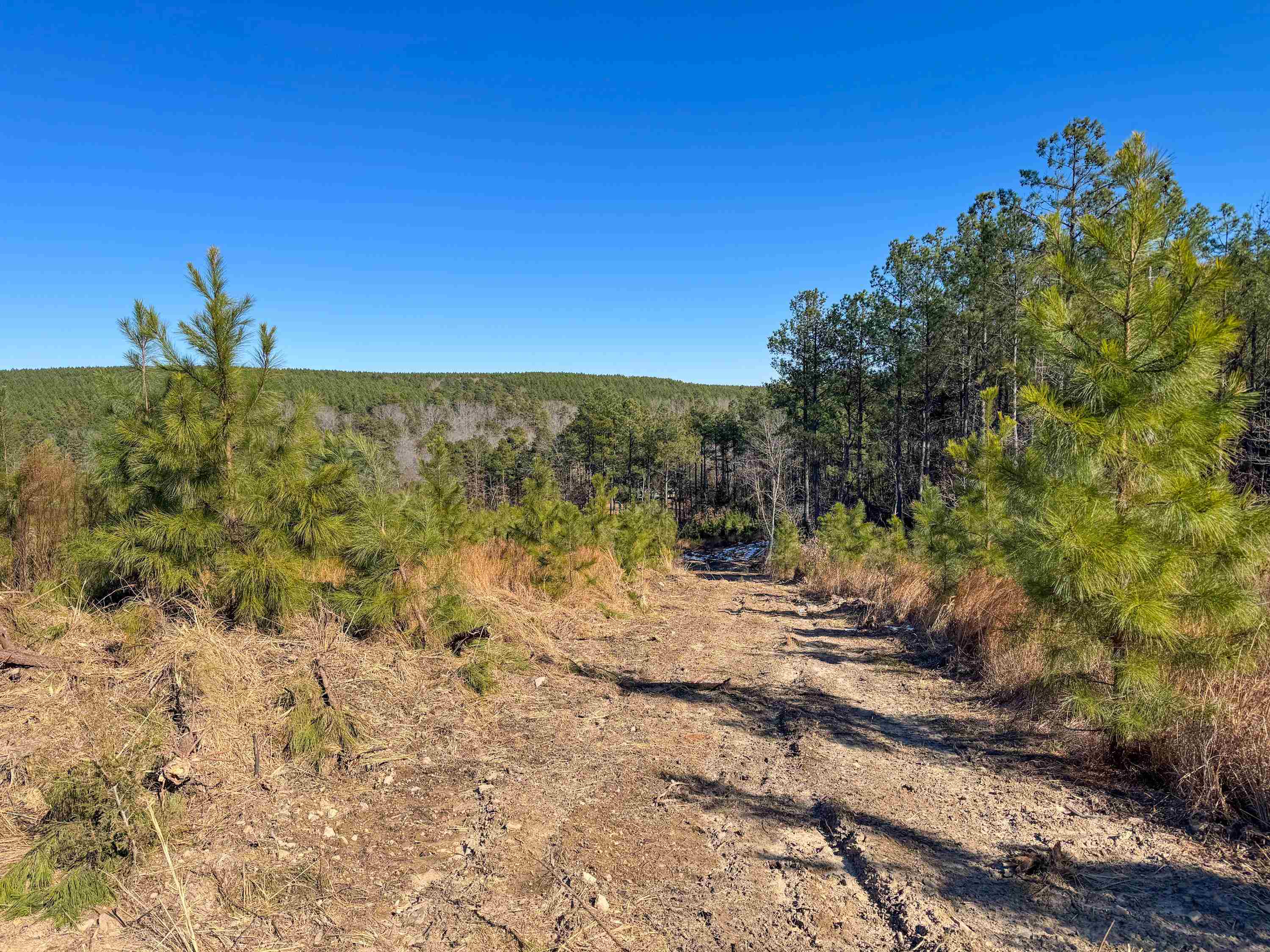 Metes & Bounds - Land