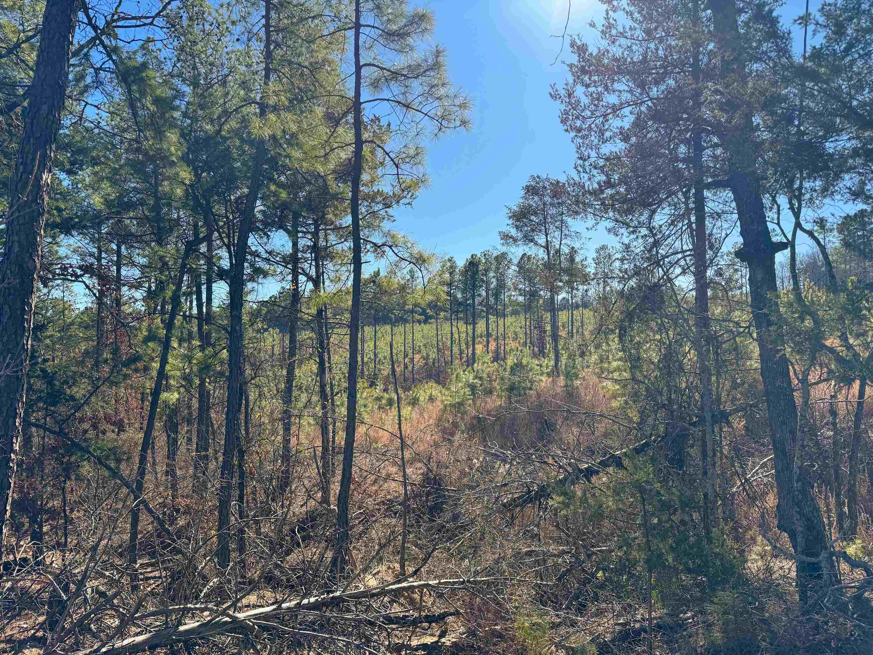 Metes & Bounds - Land