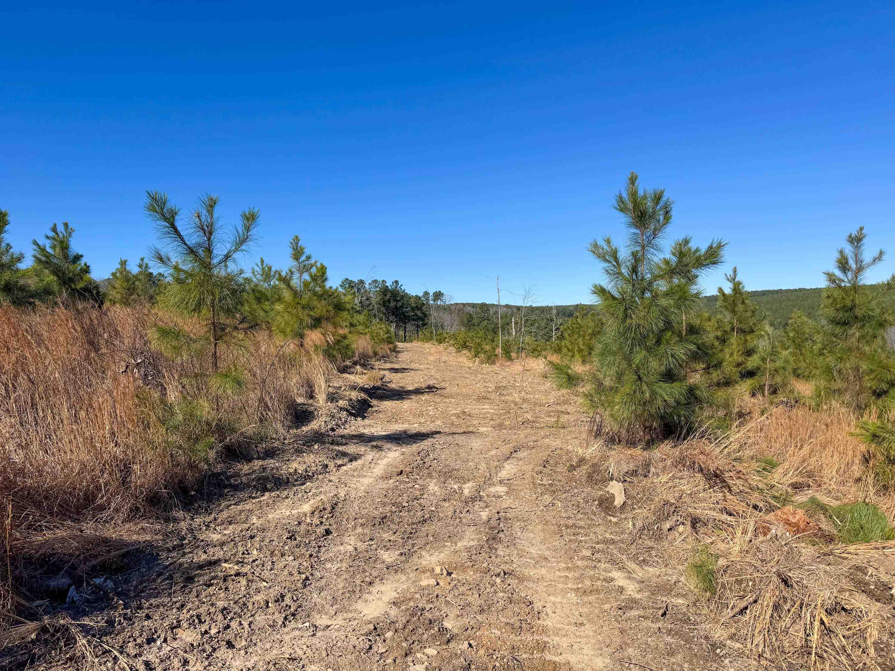 Metes & Bounds - Land