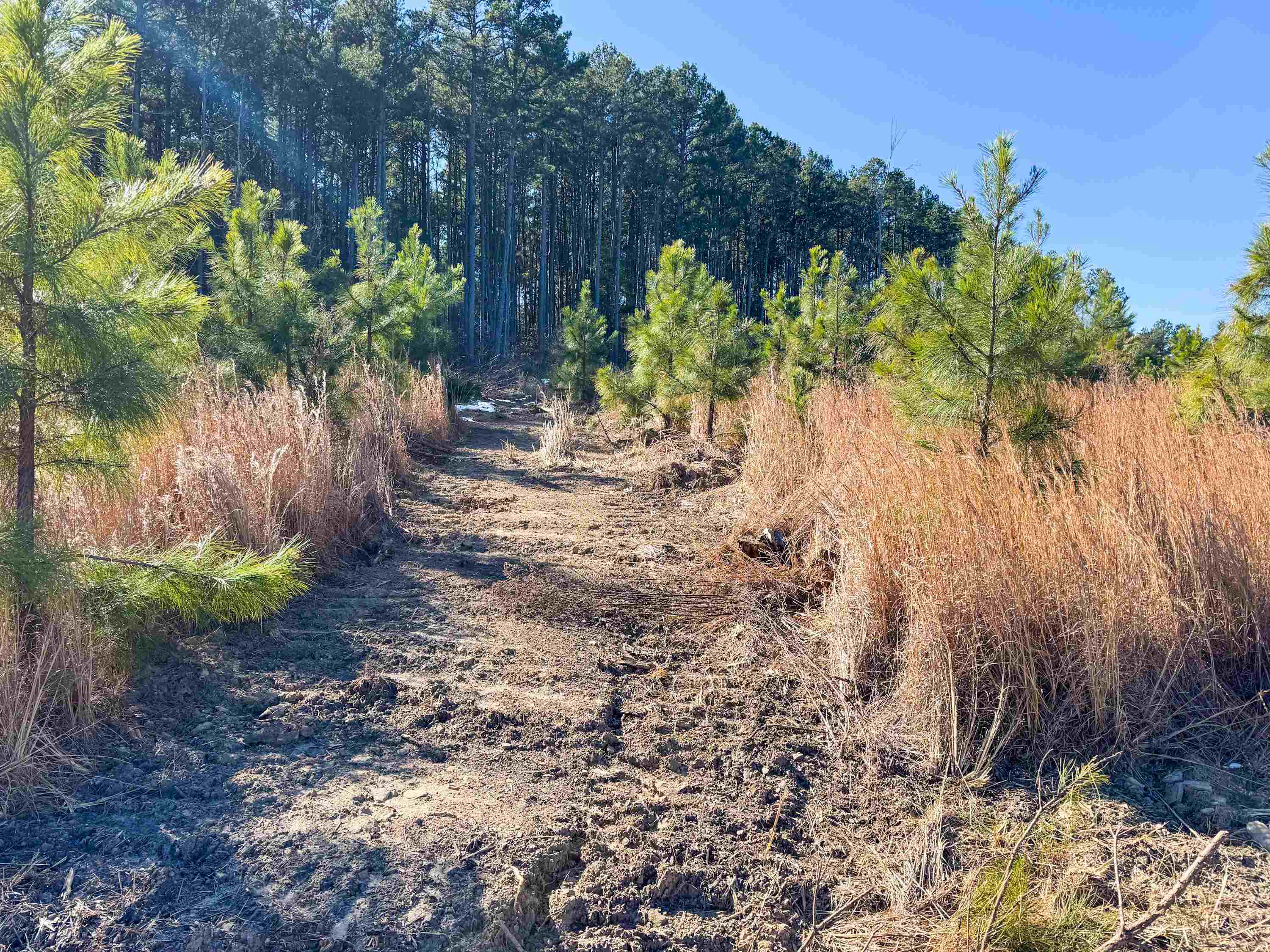 Metes & Bounds - Land