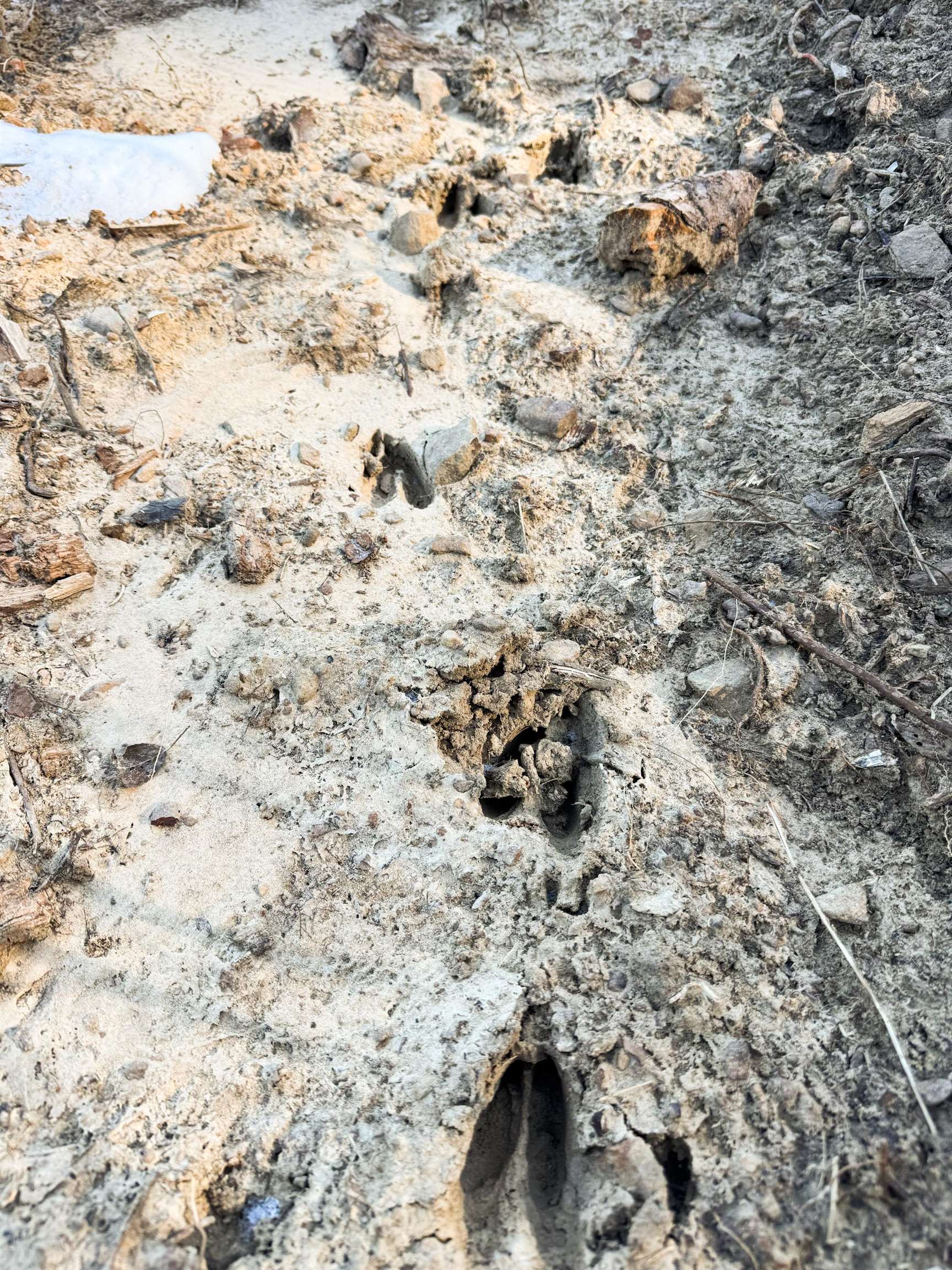 Metes & Bounds - Land