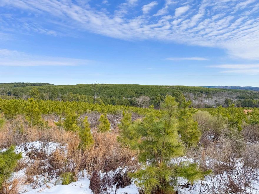 Enjoy a sweeping vista view from this acreage in Quitman. This property is just six minutes from Quitman, and only 16 minutes to the Narrows marina on Greers Ferry Lake. Clear the baby pines off or let them grow for a future investment. A couple of great spots atop the high knolls to build a home and take advantage of the view. The gas pad easement road runs along the west side of the property and would make a great driveway. There are trails cut through the property, and a small wet-weather creek runs down near Tarter Hill Road. Lots of white-tailed deer in the area. Seller will also consider selling half - 16.25 acres. See the listing for 952 Tarter Hill Road for details.