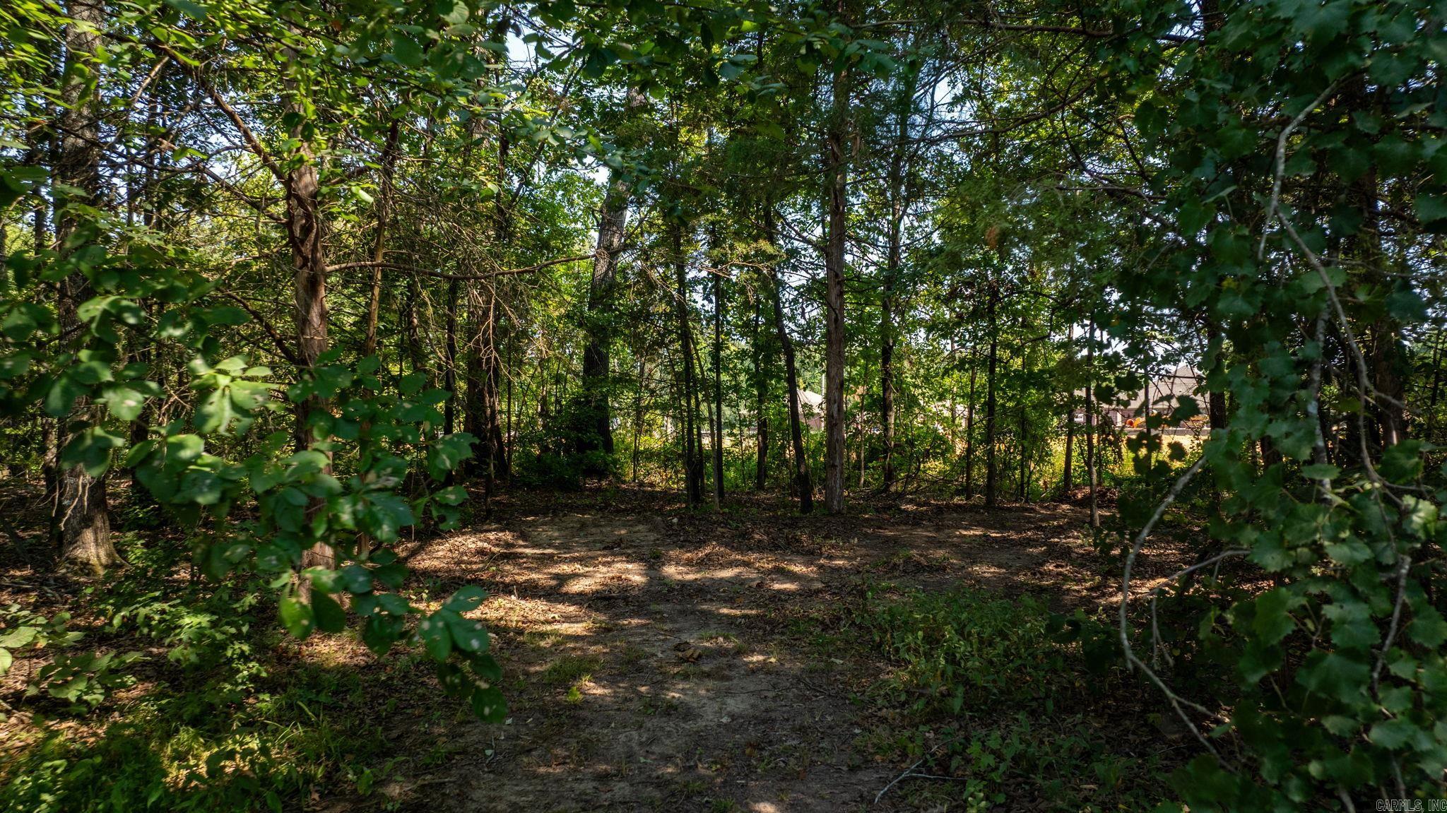 Snowden Acres - Land