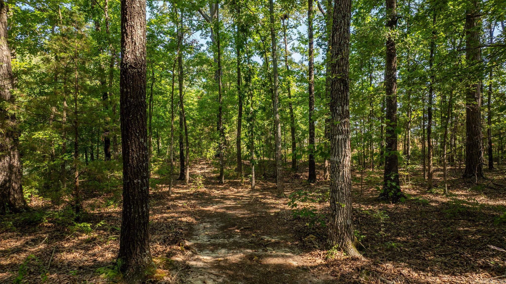 Snowden Acres - Land