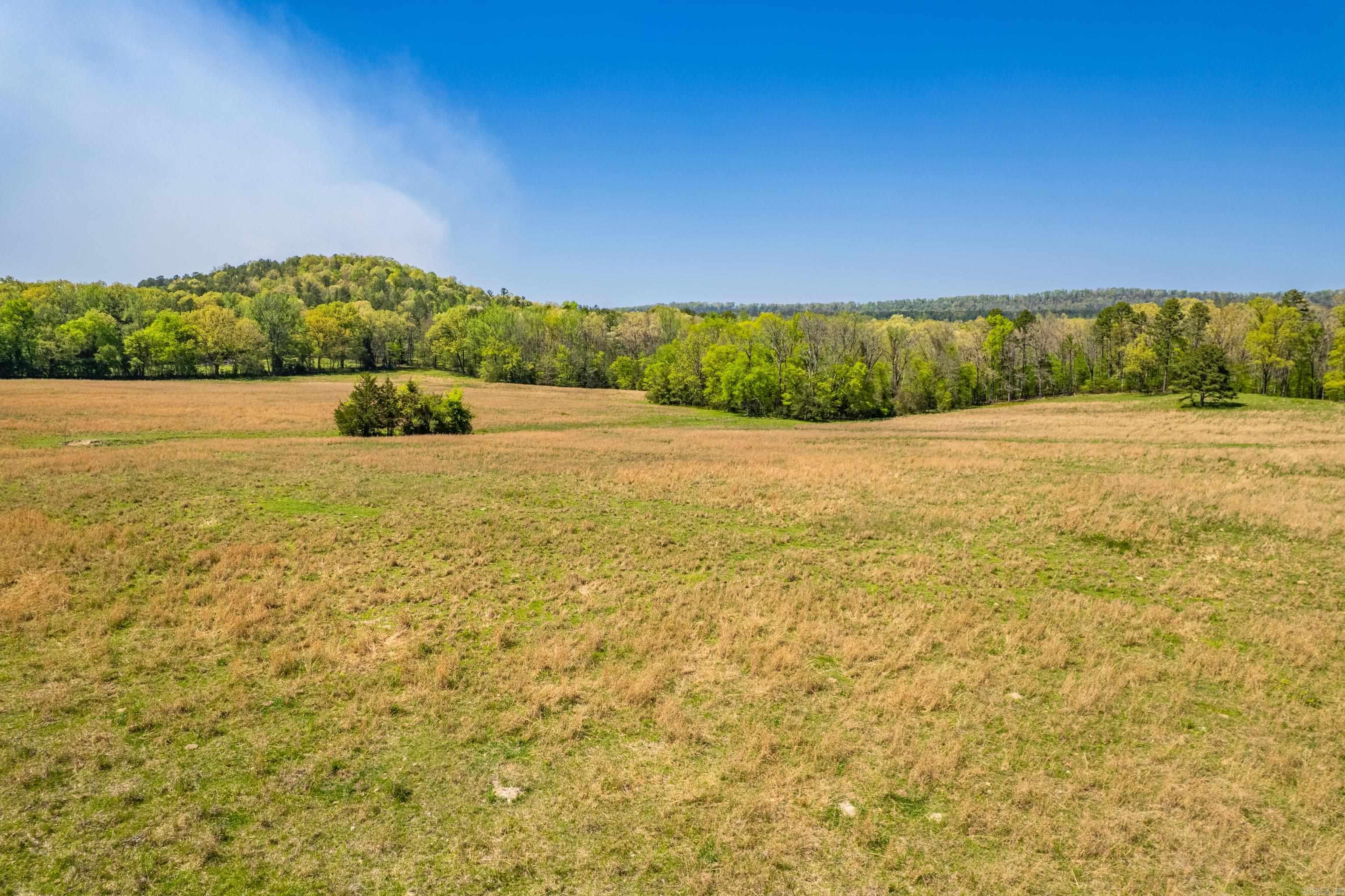 This 42+/- -acres property offers a unique opportunity just minutes from Lake Ouachita. The gently rolling pastureland is perfect for grazing or hay production, with a wet weather creek and some hardwoods making this a habitat for wildlife. Fenced and accessible via easement, this land offers privacy, along with corner bordering the National Forest. Located in the Lake Hamilton school district, this property is ideal for those seeking to build their dream home, a peaceful retreat or a small farm. With its close proximity to the lake, it's a rare find for outdoor enthusiasts.