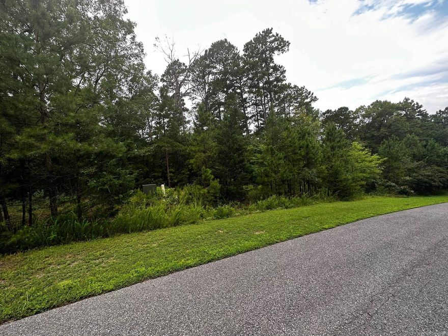 Great lot for building. Nice location. Utilities are underground. Mineral rights do not convey.