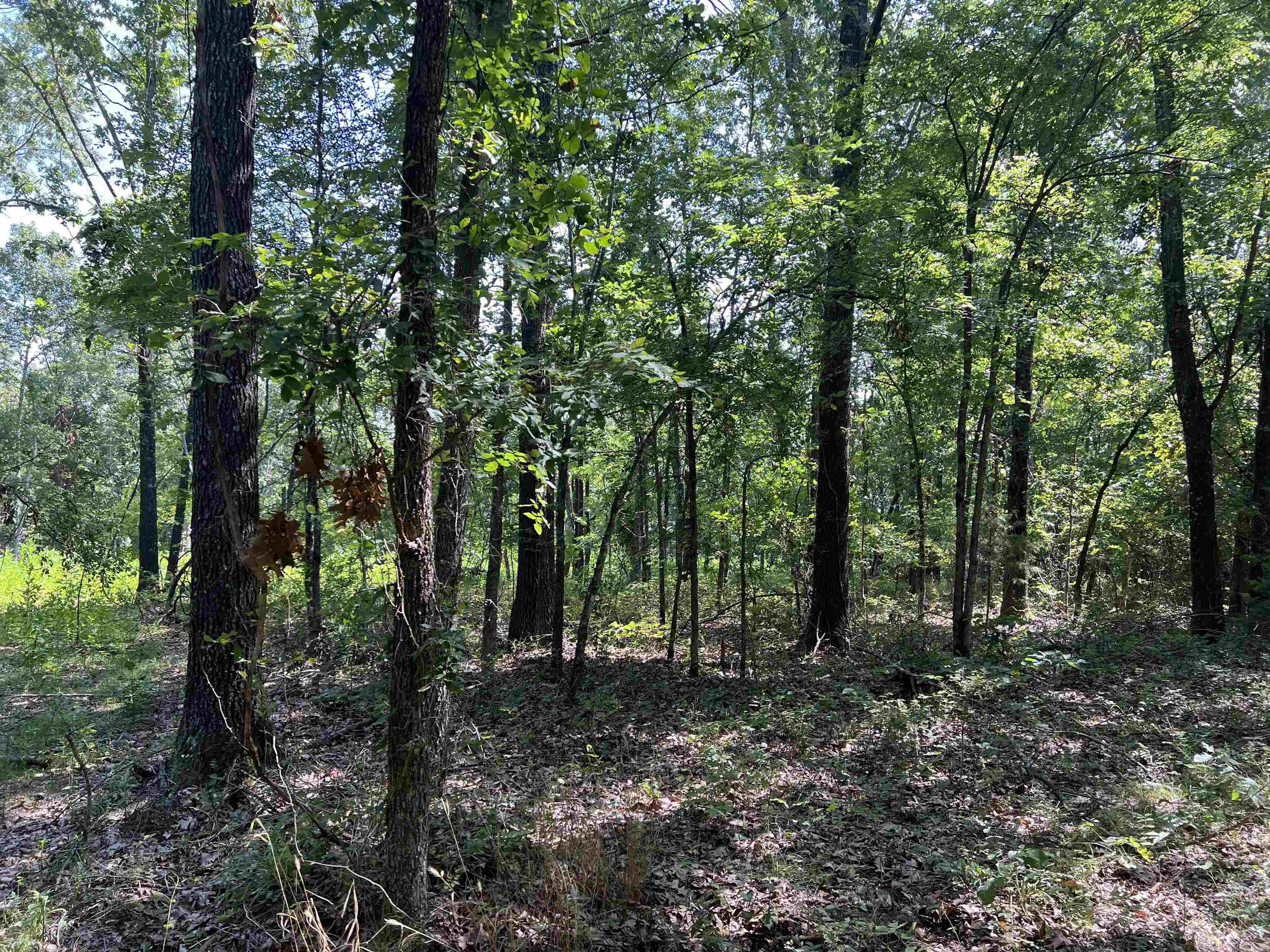 Possible Owner Financing!! 4.71 Acres with large trees and nice cleared building sight. No Restrictions. This is a must see for a private home place.