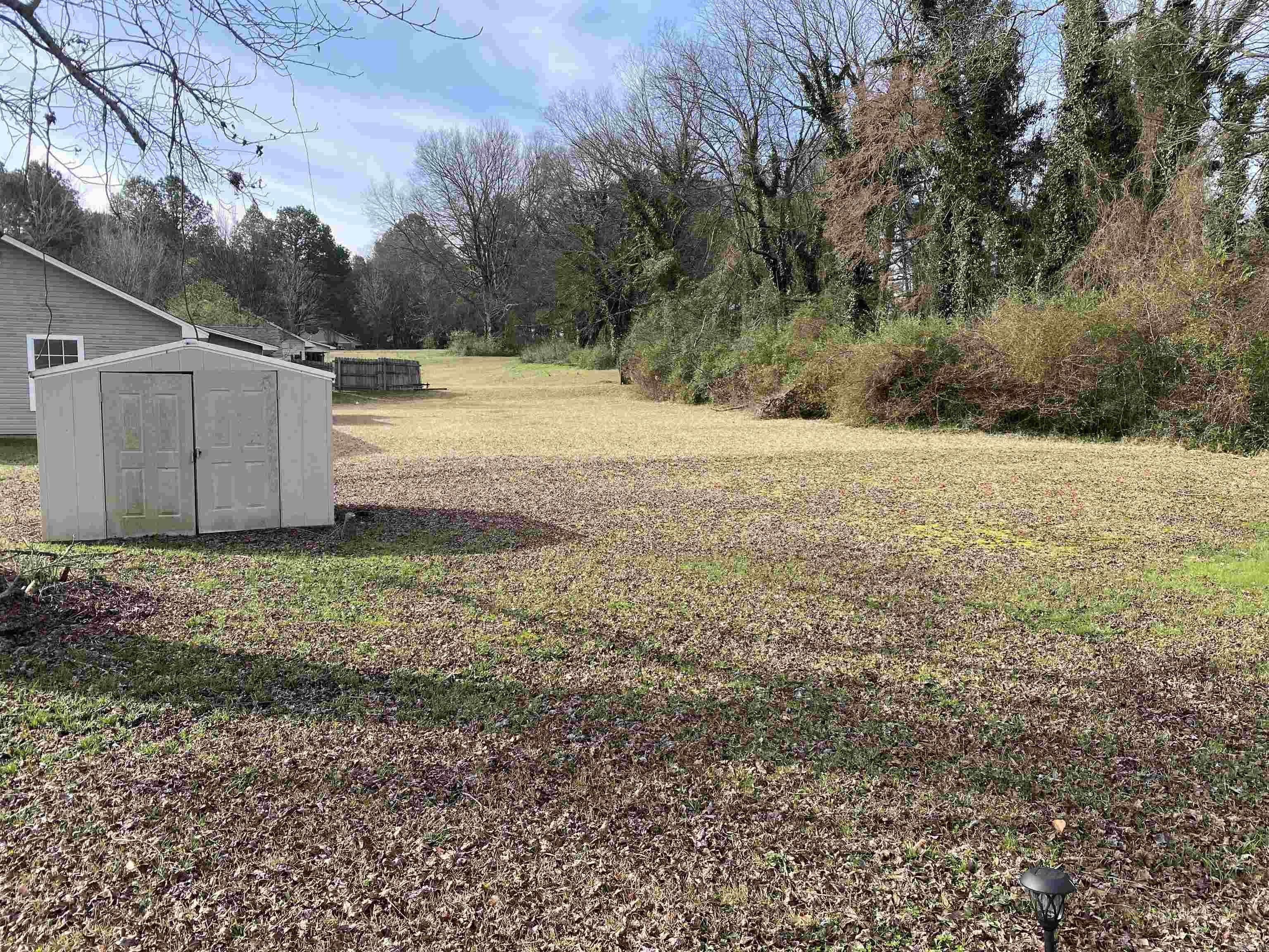 Original Mineral Springs - Residential