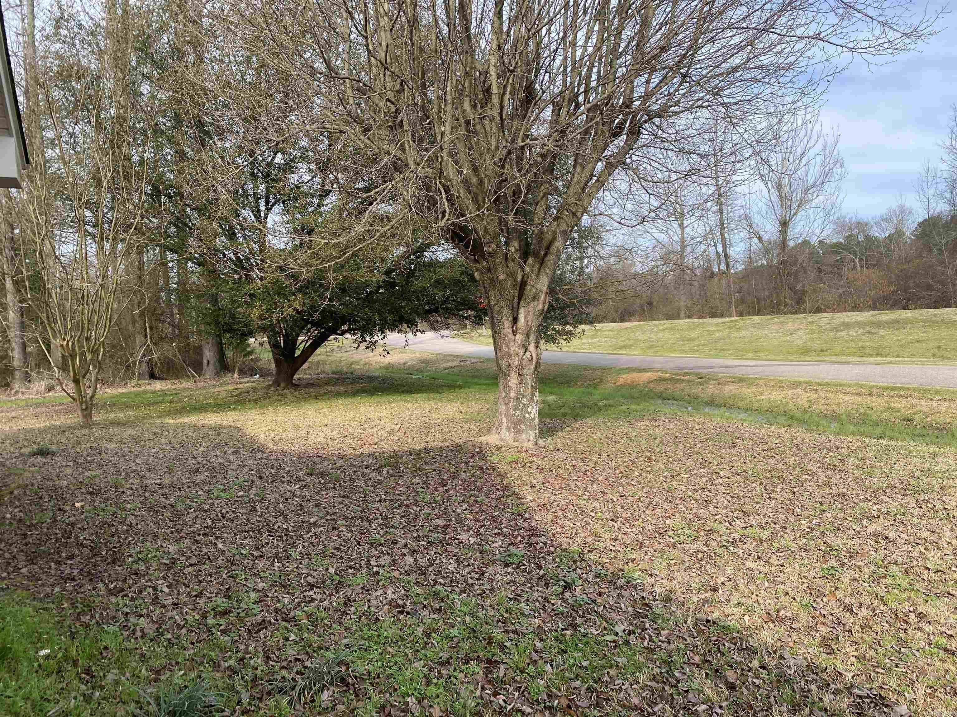 Original Mineral Springs - Residential