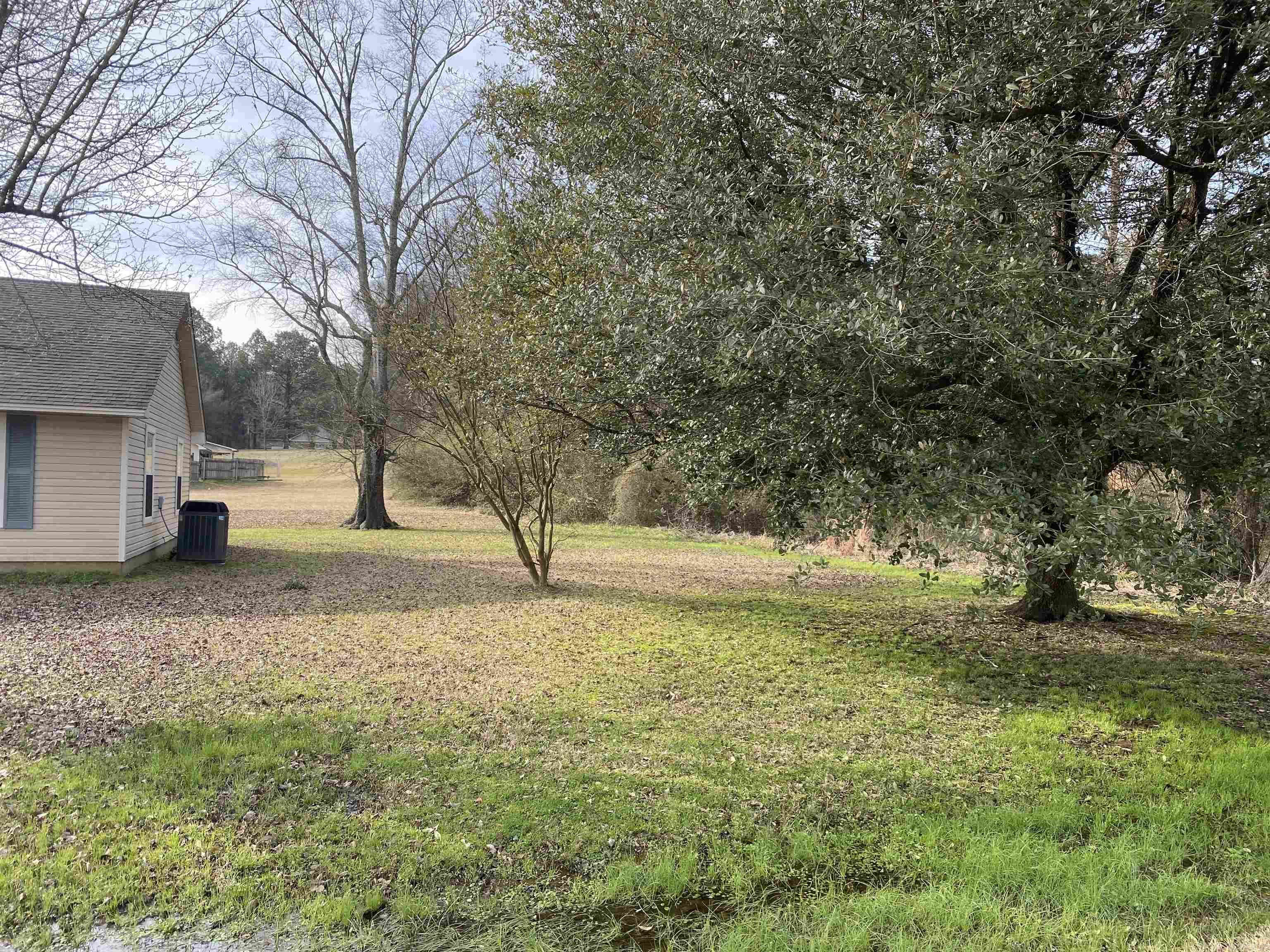 Original Mineral Springs - Residential