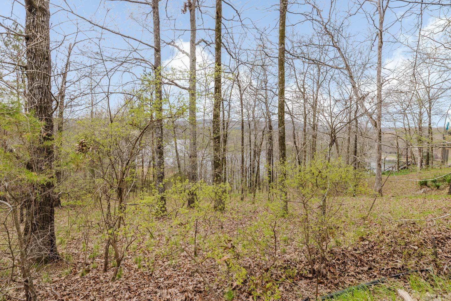 DIAMONDHEAD M1 - Residential