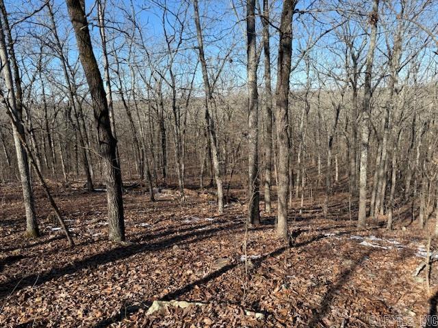 Round Mountain Estates - Land