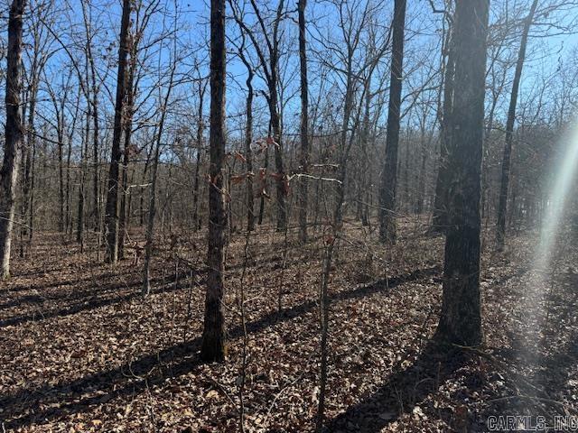 Round Mountain Estates - Land