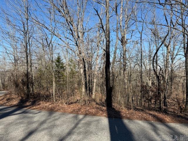 Round Mountain Estates - Land