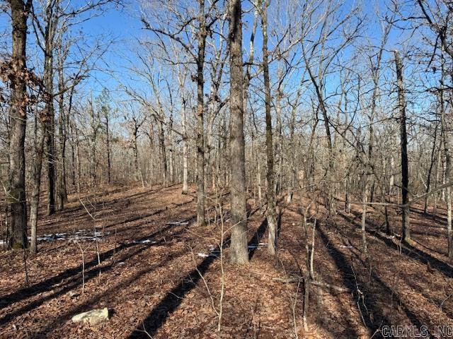 Round Mountain Estates - Land