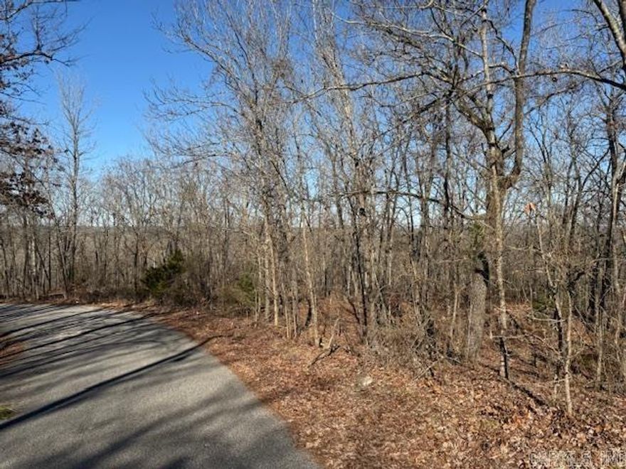 This 4.92 acre wooded property sits just minutes outside of El Paso and is centrally located in between Conway, Beebe, and Cabot. This is the perfect place to build your home and maintain privacy. Mobiles Allowed.