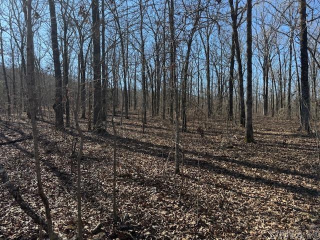 Round Mountain Estates - Land