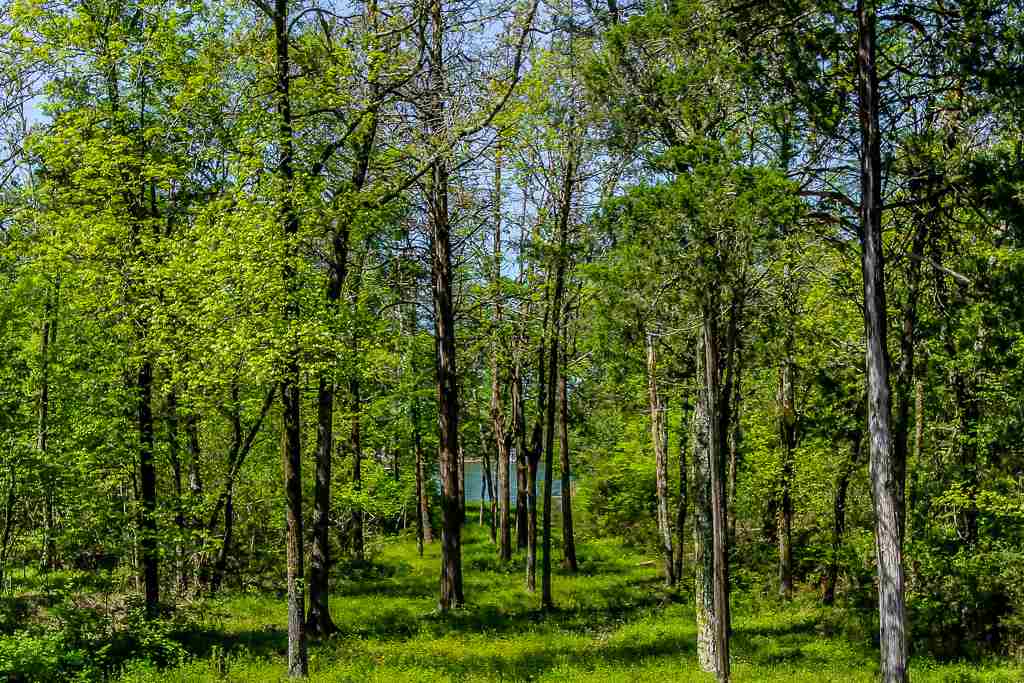 Sanchez - Residential