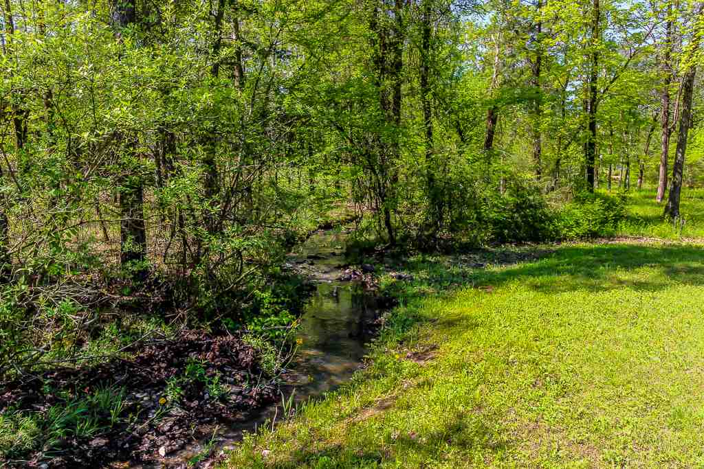 Sanchez - Residential