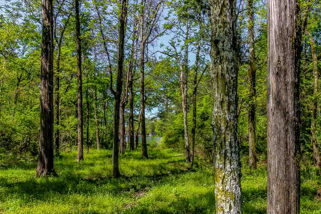 Sanchez - Residential