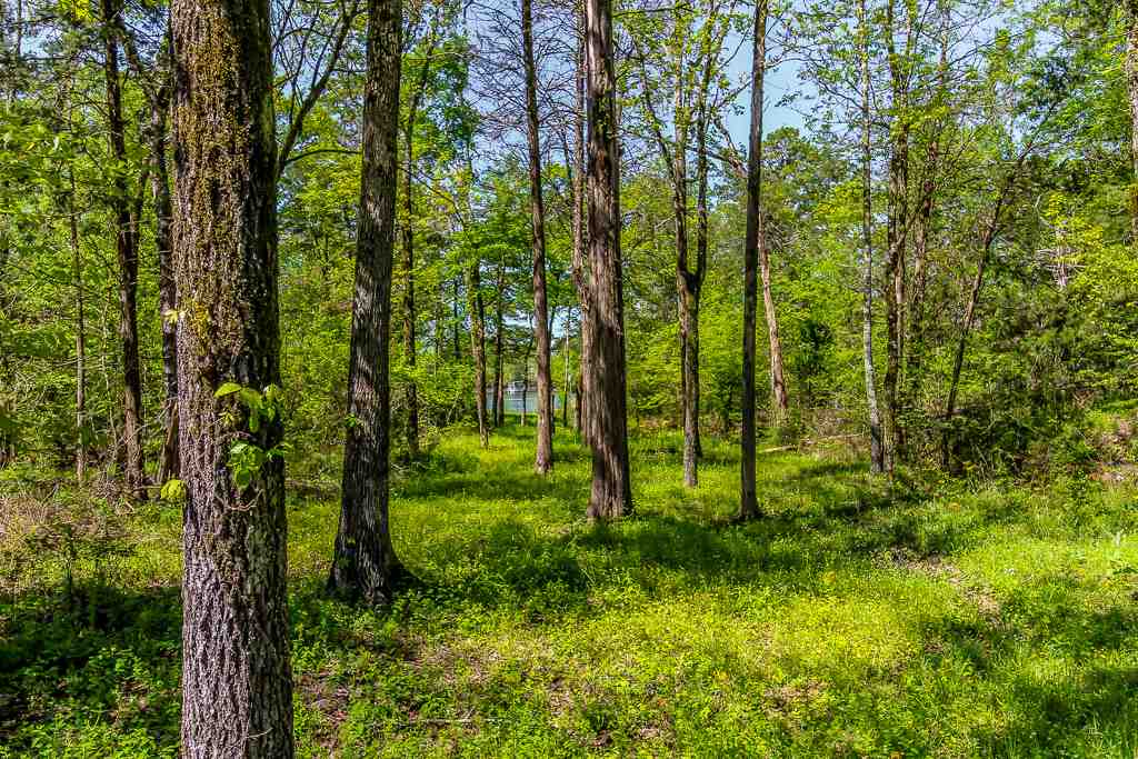 Sanchez - Residential