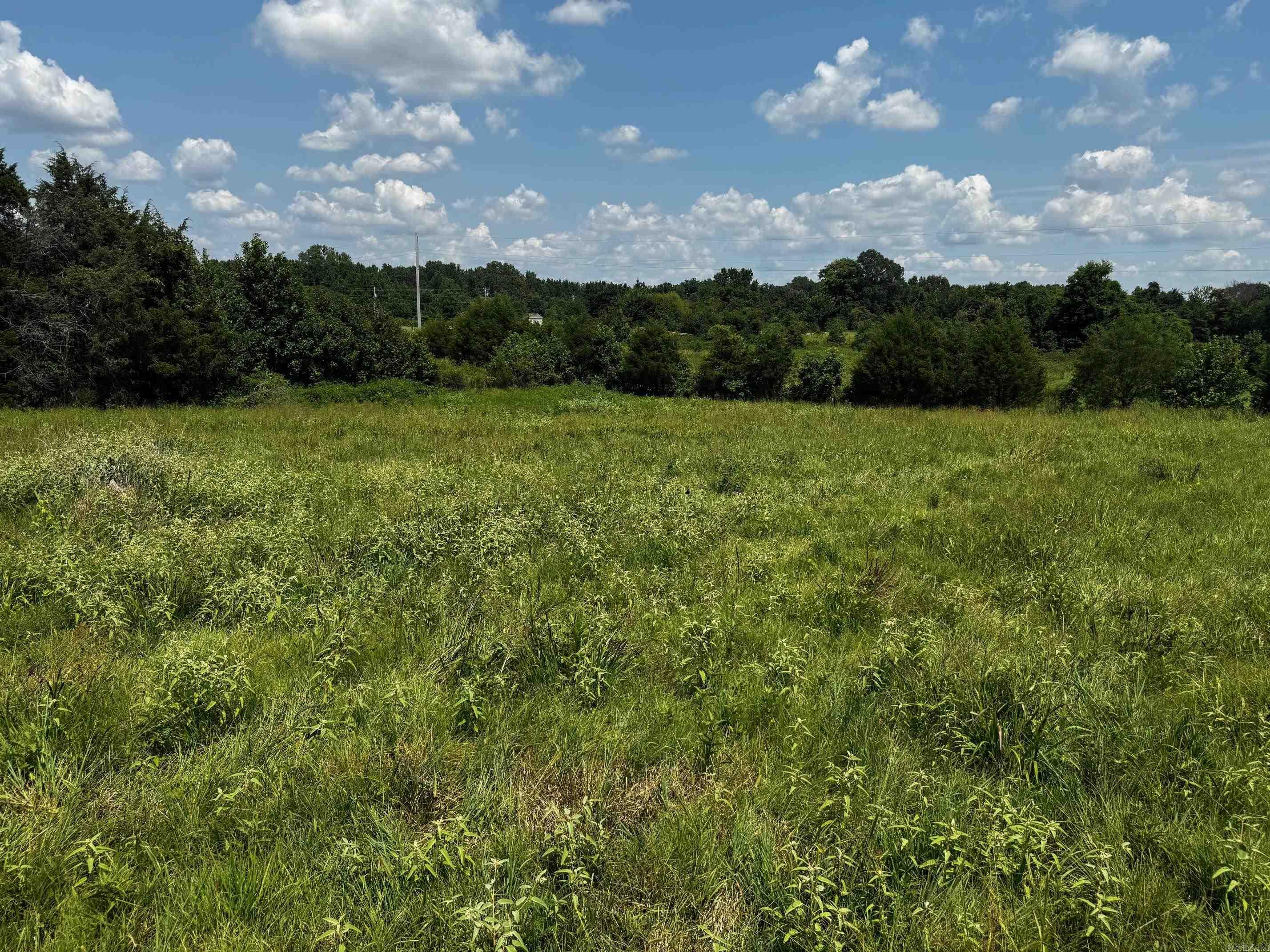 Property is to be divided into 3 parcels. All proposed parcels have perk test complete. Tract 1 has new construction started and is listed in MLS Active. At this time Tracts 2 and 3 can be purchased, Priced based on if Owner/Builder is building your home. Everything is negotiable.