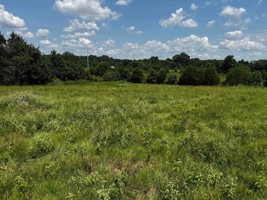 Property is to be divided into 3 parcels. All proposed parcels have perk test complete. Tract 1 has new construction started and is listed in MLS Active. At this time Tracts 2 and 3 can be purchased, Priced based on if Owner/Builder is building your home. Everything is negotiable.
