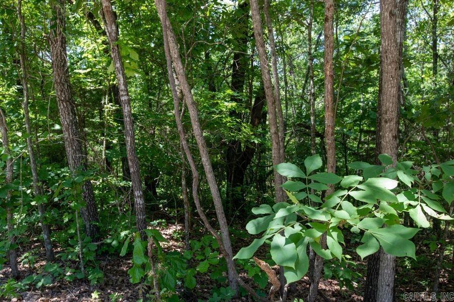 River Place I - Land