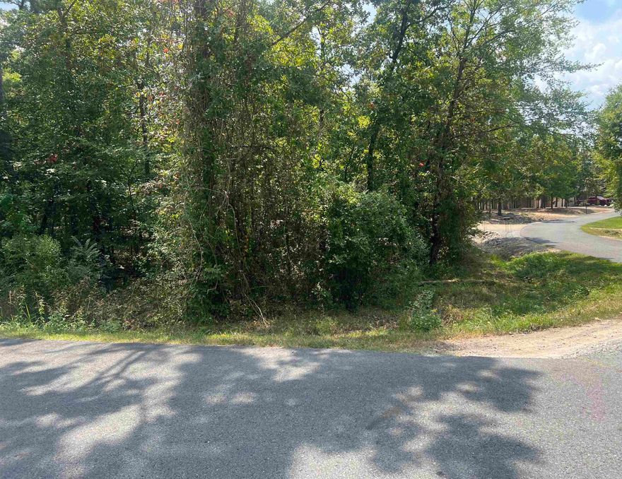 Vacant corner lot in a beautiful neighborhood perfect for building your dream home! Close to Lake Balboa, small lakeview from the lot, and only 5 minutes from Hwy 5 gate and 20 from the main gate.  In the heart of Hot Springs Village with easy access to trails, lakes, restaurants, and many amenities. Hot Springs Village Property Owners Association has a new lot member buy-in fee of $250.00 due and collected at closing.