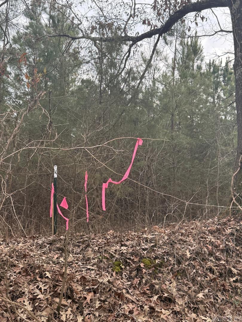 Not in Subdivision - Land