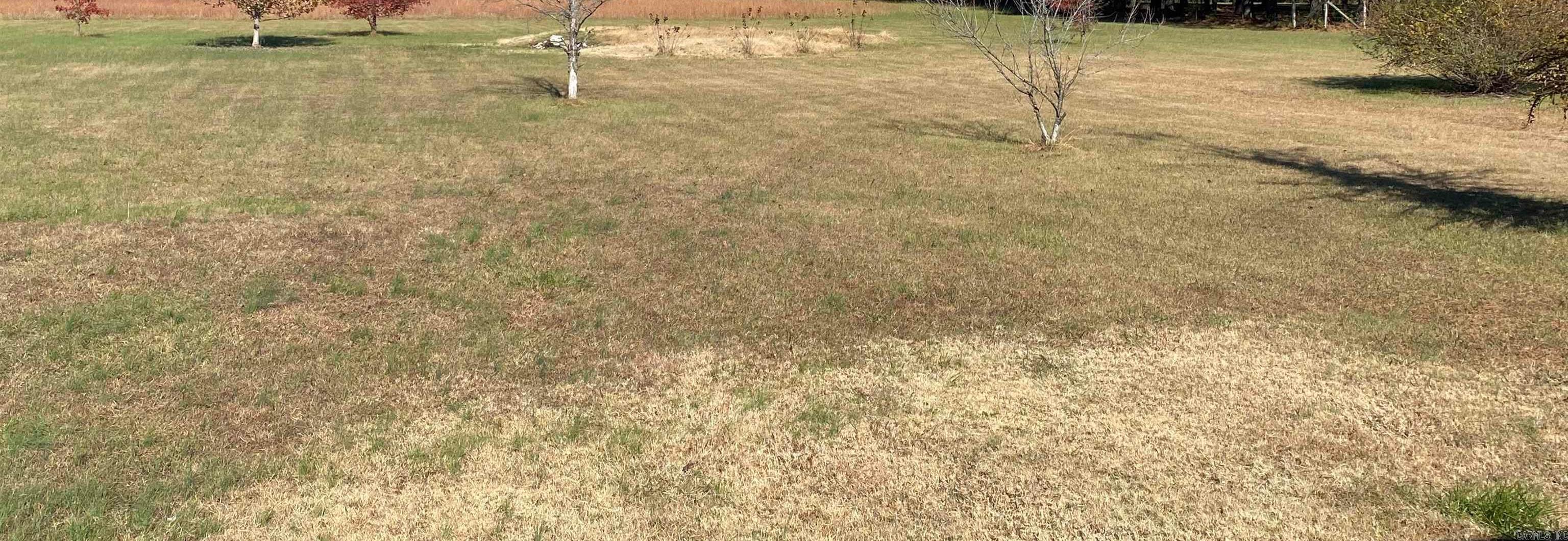 Prothro - Land