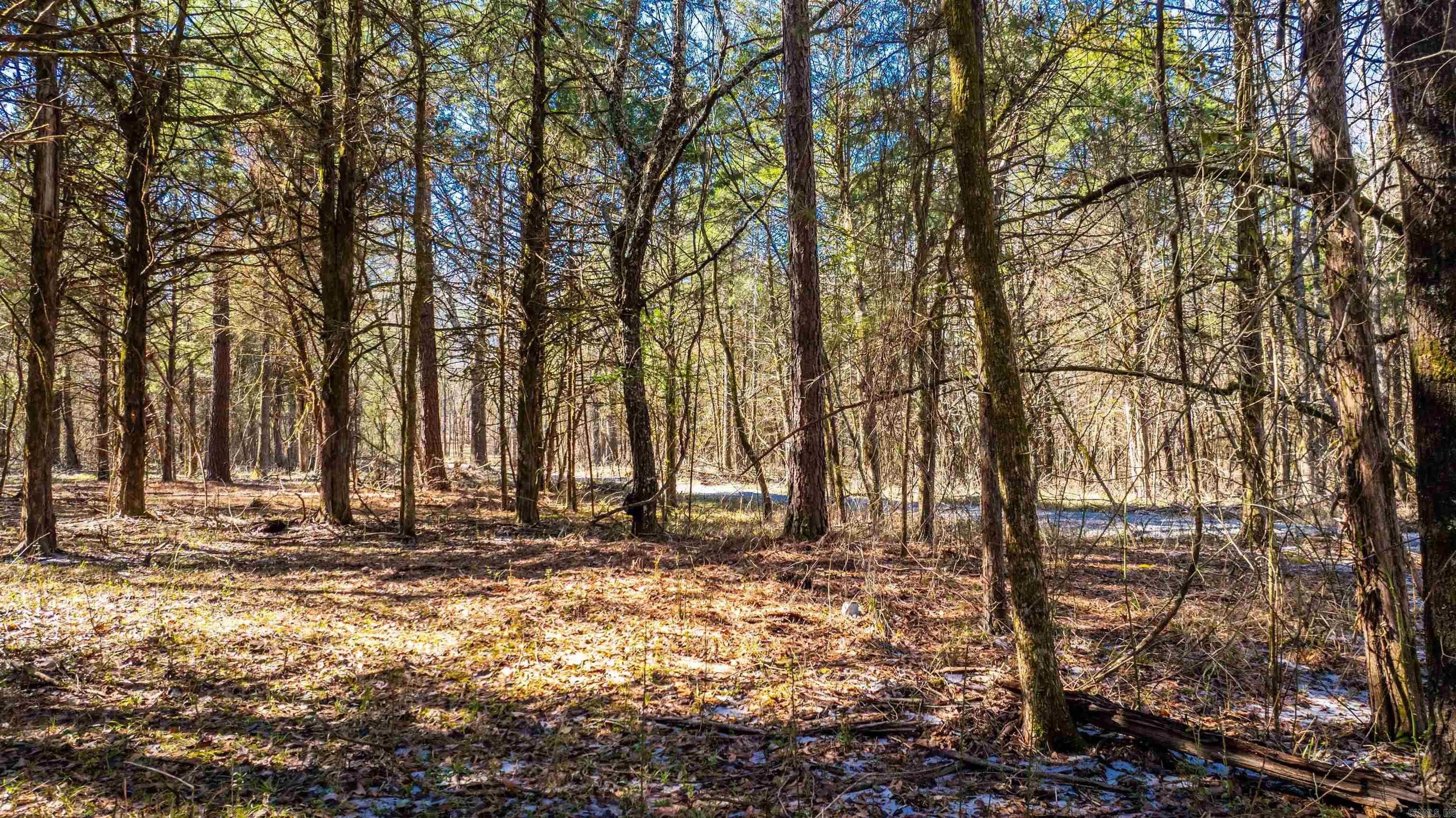 Metes & Bounds - Land