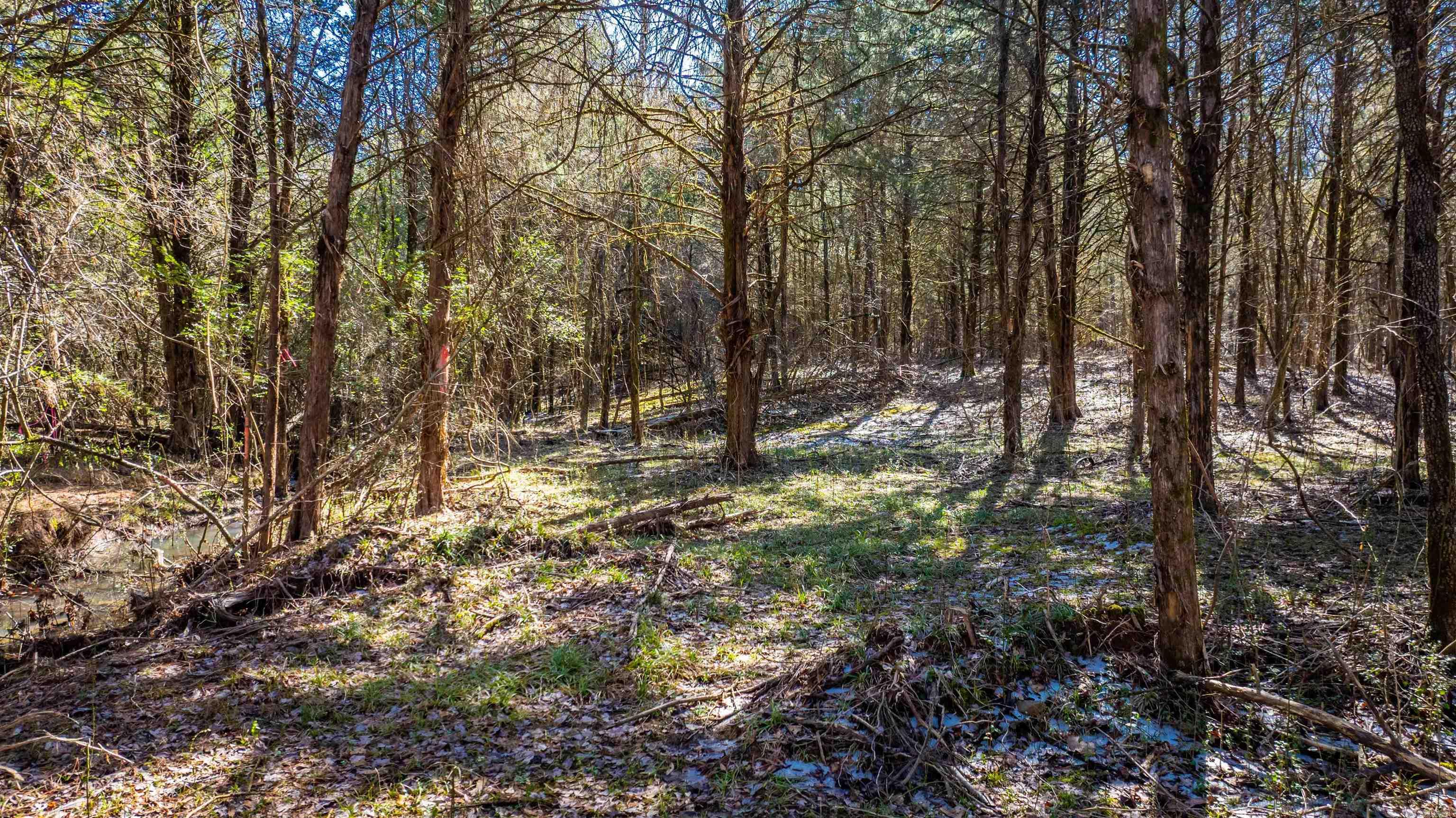 Metes & Bounds - Land