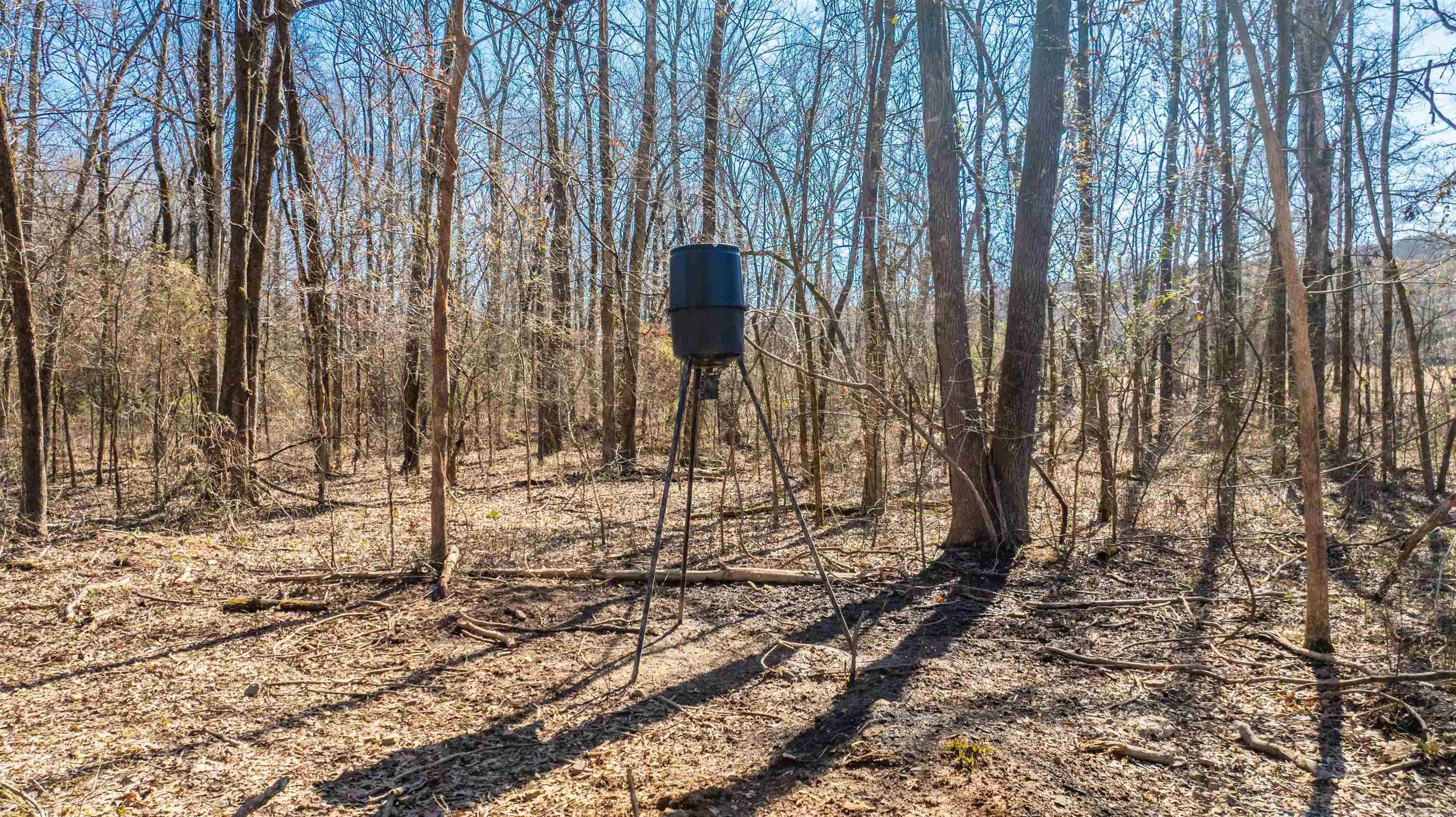 Metes & Bounds - Land