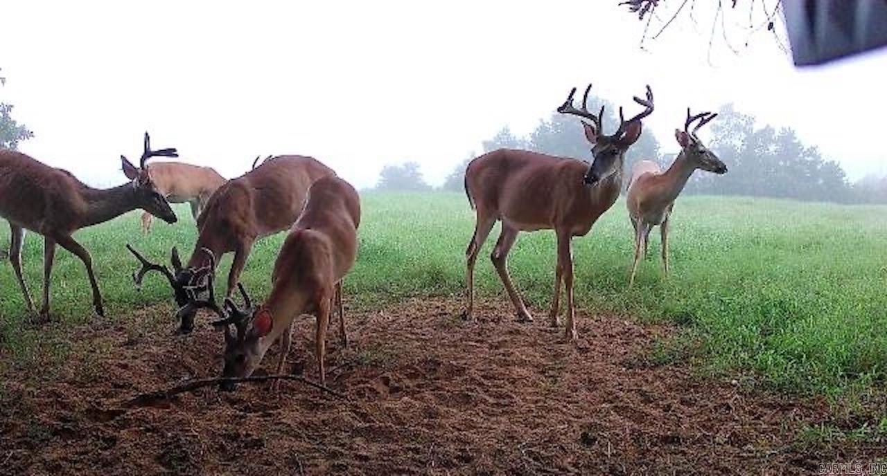 Metes & Bounds - Farm