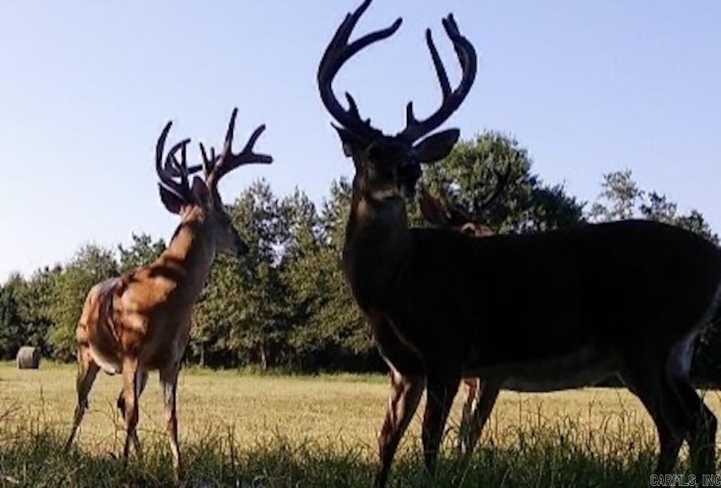 Metes & Bounds - Farm