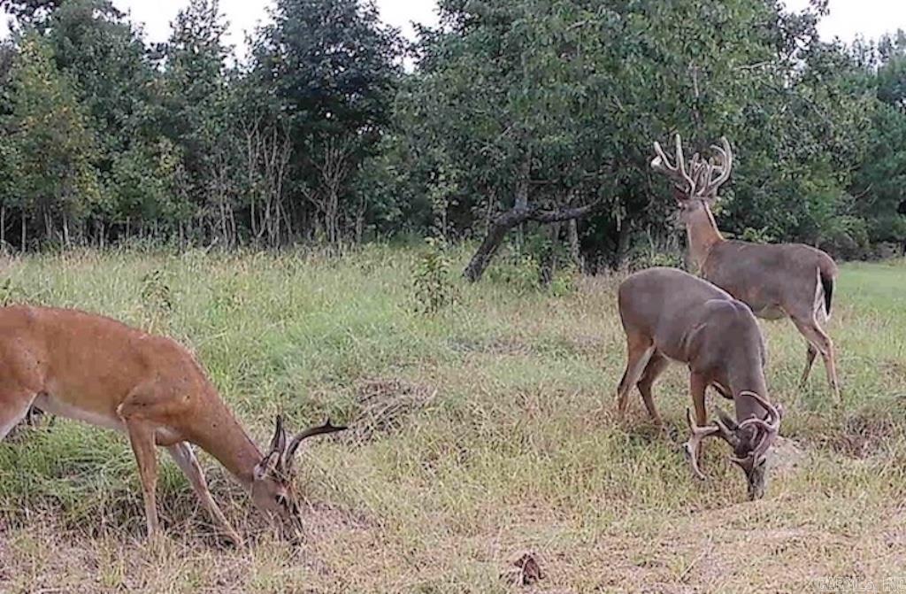 Metes & Bounds - Farm