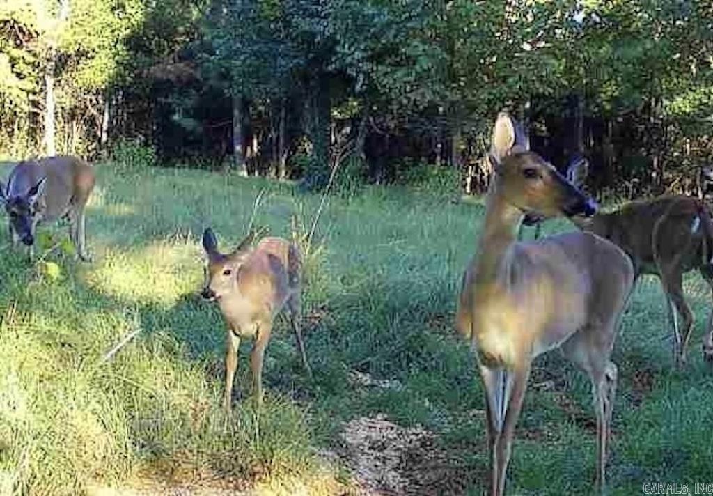 Metes & Bounds - Farm