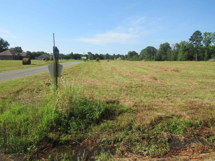 Beautiful views of Lake Overcup.  Corner lot with impressive homes already in the subdivision.  Restrictive covenants will not allow mobile homes or temporary structures.  Minimum square footage is 1600 sf.  Quick travel to Exit 108 and to Morrilton for shopping.