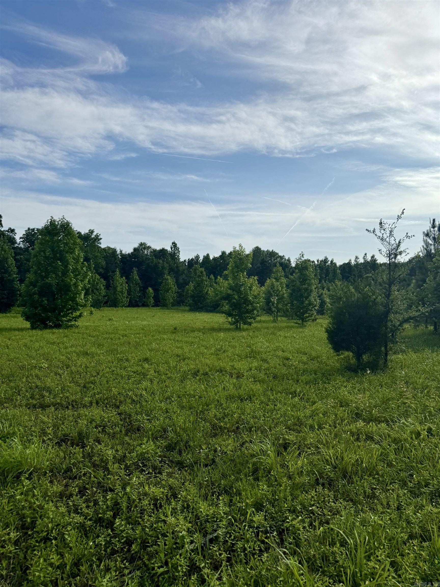 22.27 acres just outside of Searcy on the West end of town. Approximately 700 feet of Mt. Pisgah Road frontage. Mostly wooded with some clearing. Some utilities established. Sold AS-IS.