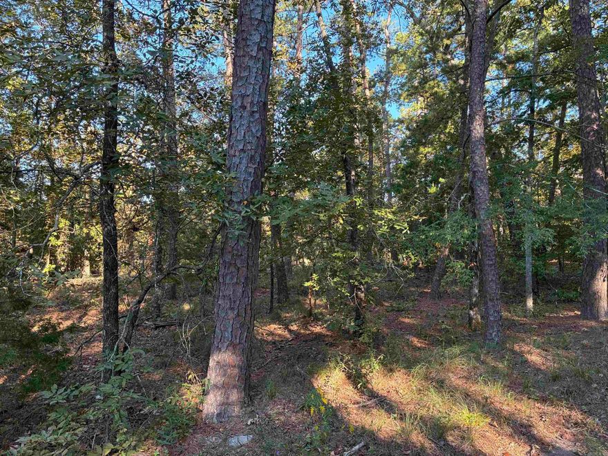 Discover the perfect place to build your dream home on this beautiful golf-front lot along Balboa Golf Course in Hot Springs Village, Arkansas. Located on Cresta Way, this property offers a level lot, making it ideal for an easy build.  Wake up to serene fairway views and enjoy direct access to one of the Village’s most beloved courses — Balboa Golf Course, known for its scenic layout and inviting atmosphere. This homesite provides the best of both worlds: a peaceful setting with convenient access to nearby lakes, trails, restaurants, and community amenities.