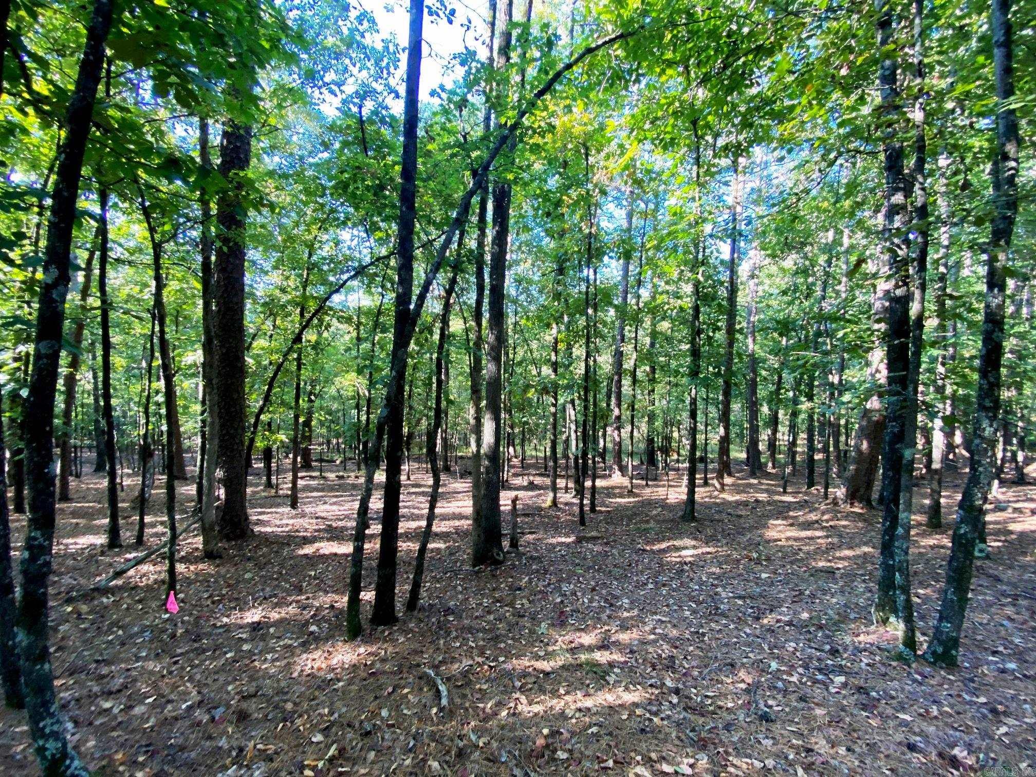 Foxridge-Burlingame - Land